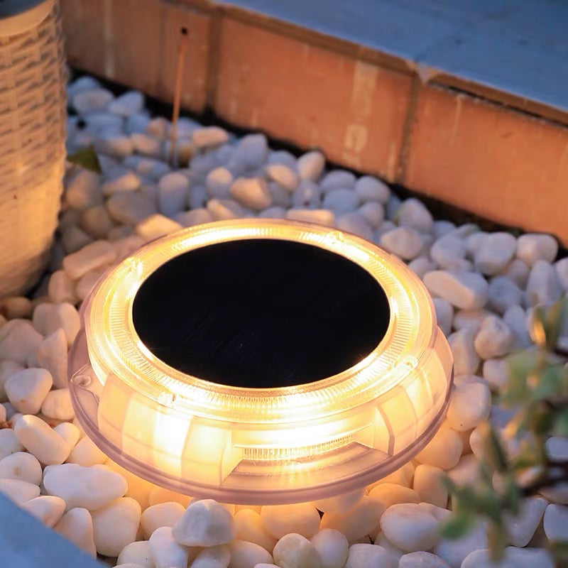 Synergy SL-01 : 50 Lumens