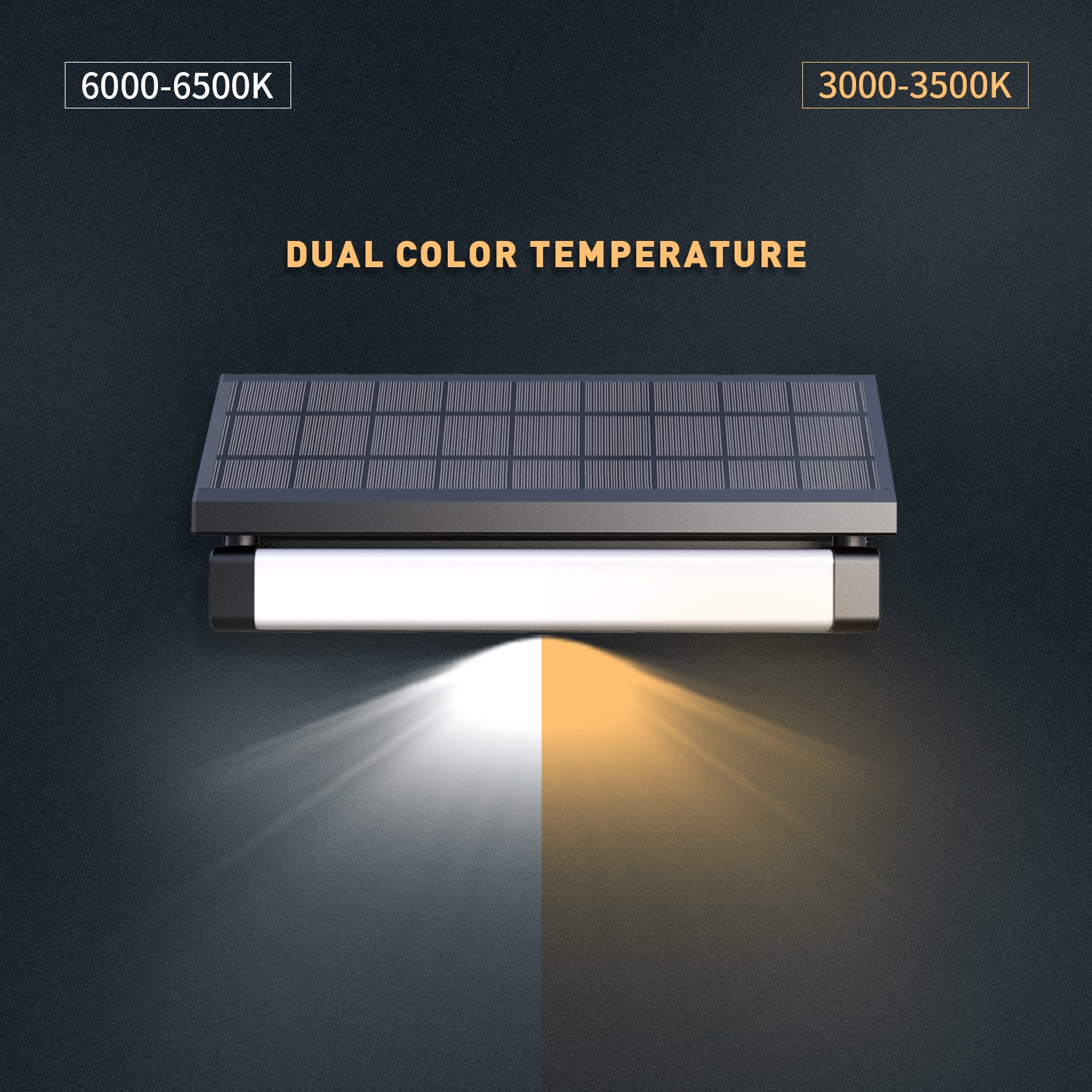 Synergy SL-12 : 1000 Lumens