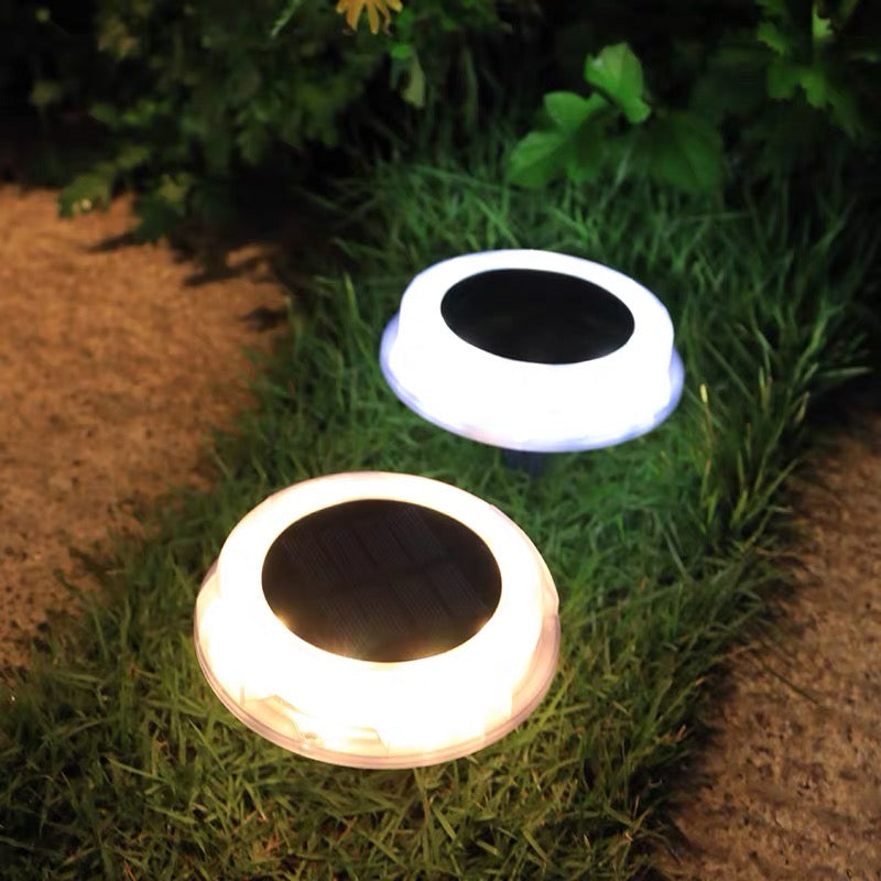 Synergy SL-01 : 50 Lumens