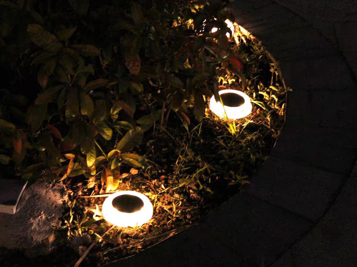 Synergy SL-01 : 50 Lumens