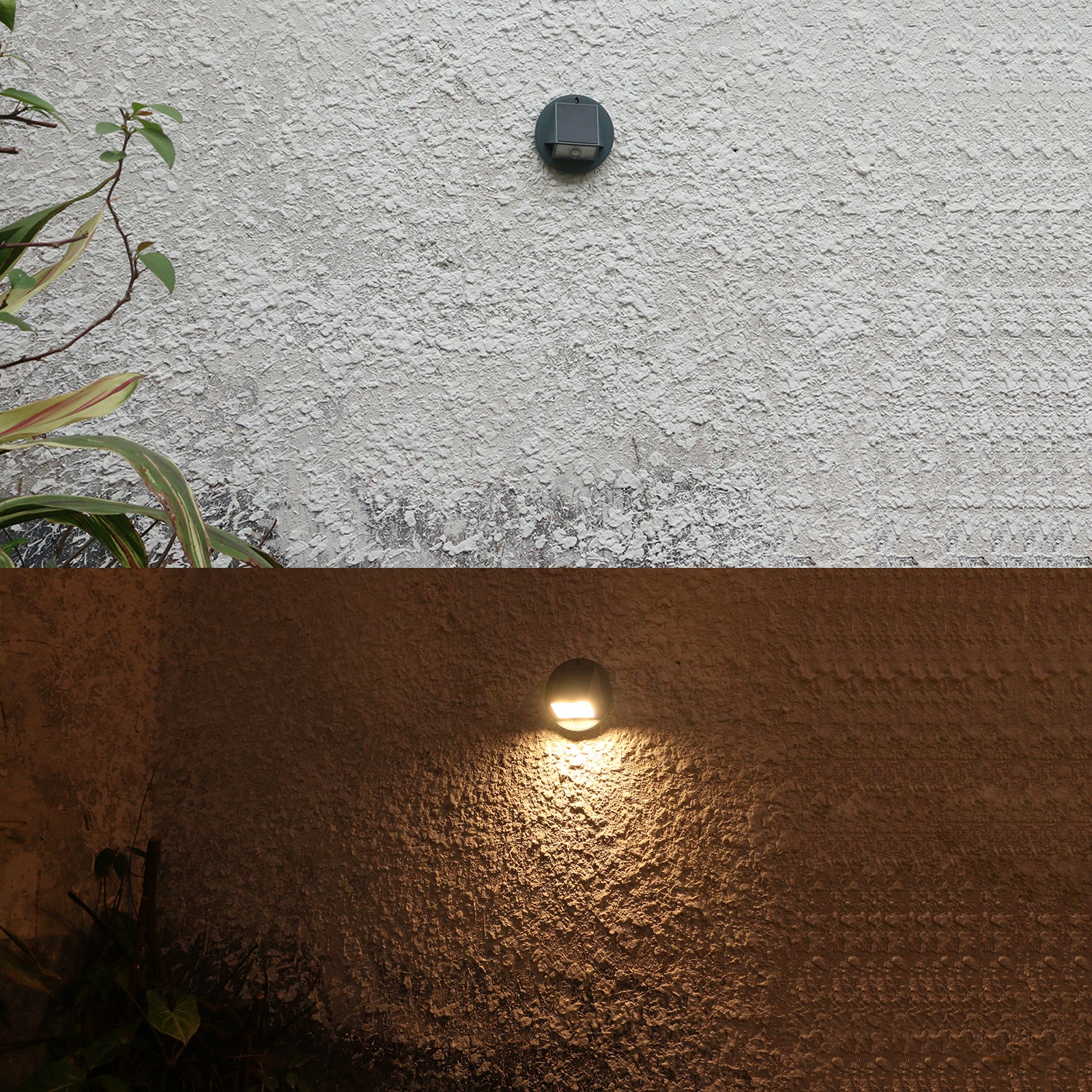 Synergy SSL-01 : 500 Lumens