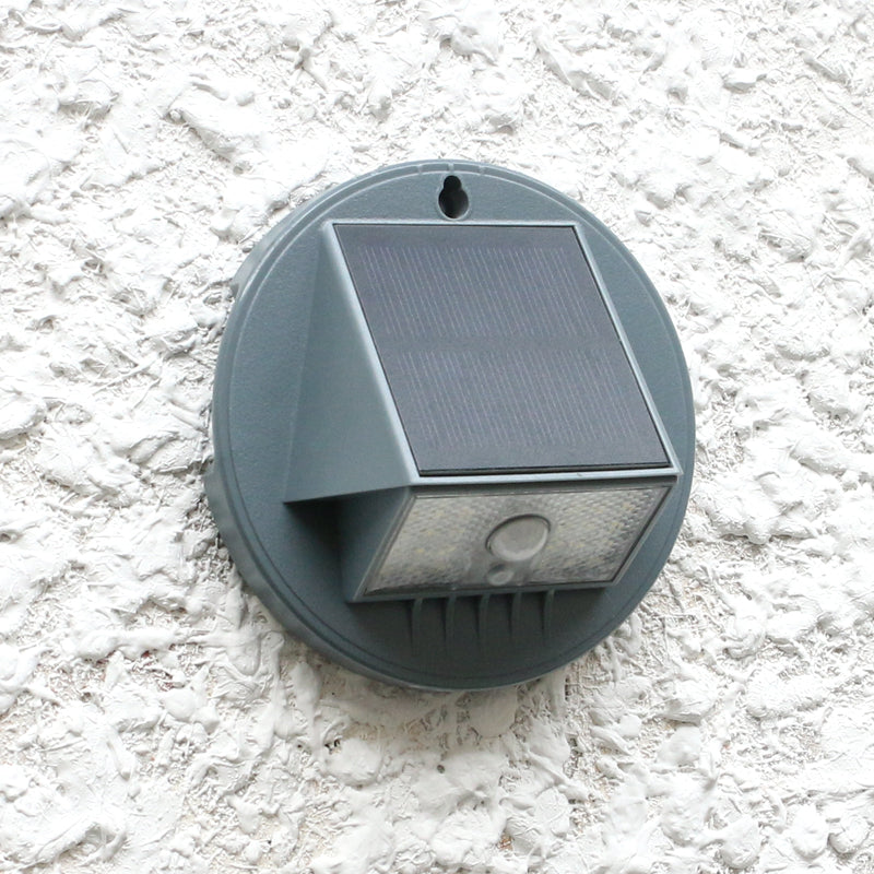 Synergy SSL-01 : 500 Lumens