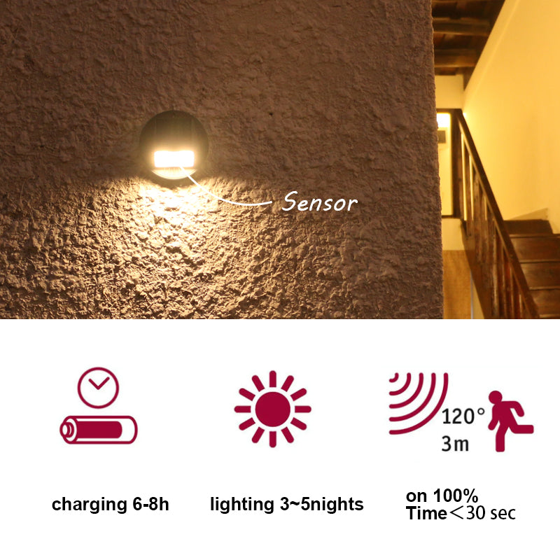 Synergy SSL-01 : 500 Lumens