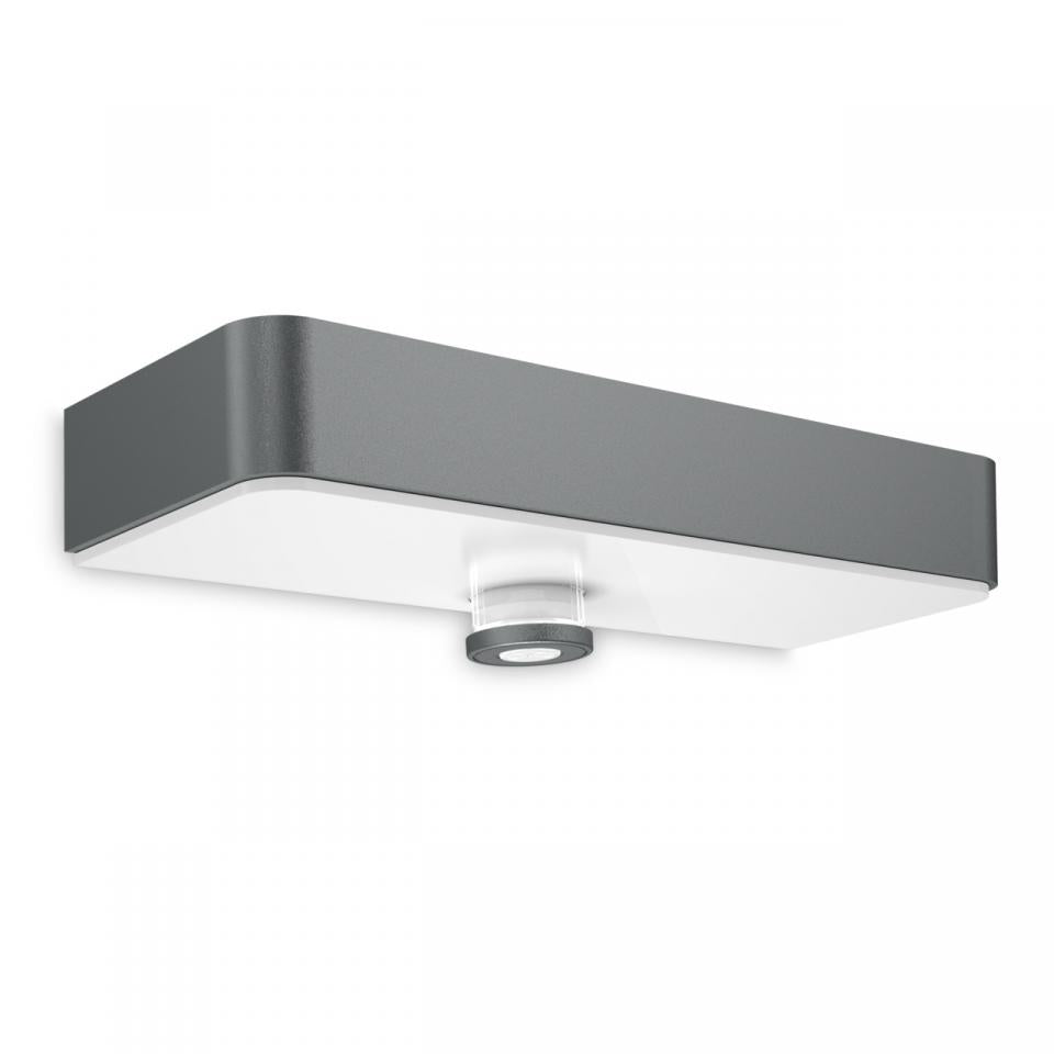 Anthracite / with Motion Detector