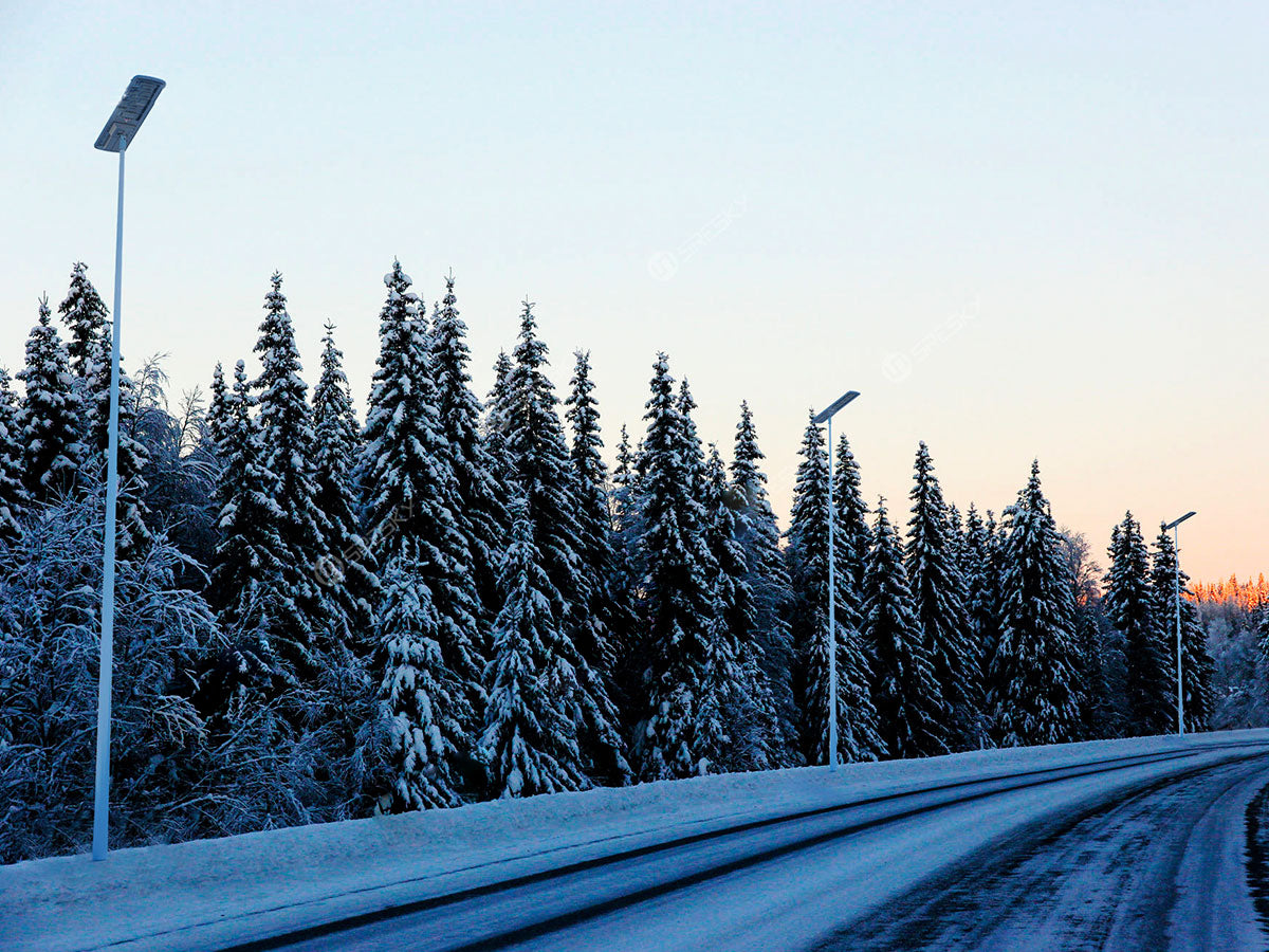 Synergy T Series Solar Street Light