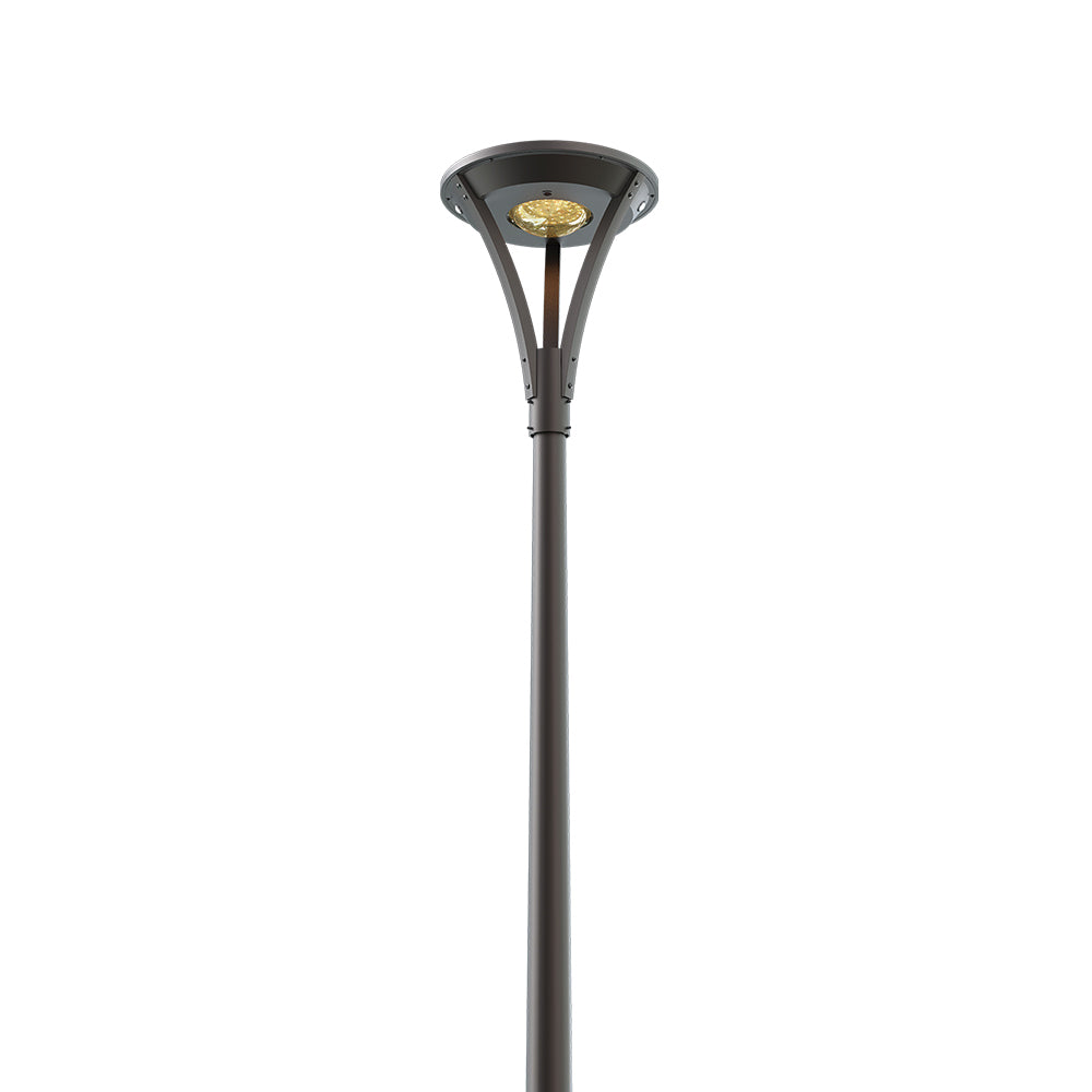 Synergy H Series SY-31 Solar Light